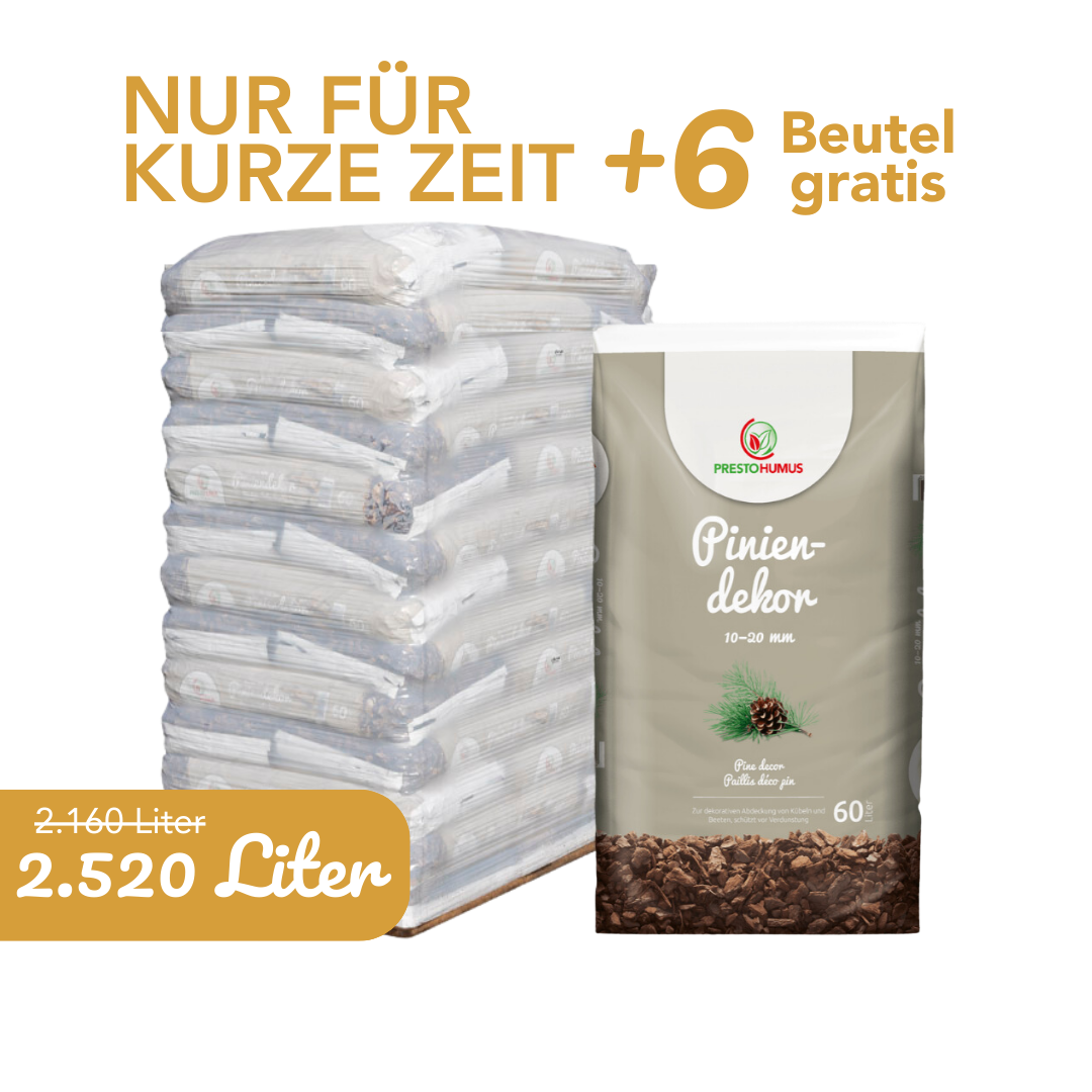 Piniendekor -mittel- 10-20 mm + 6 Beutel gratis